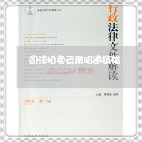 司法拍卖云南昭通镇雄 司法拍卖云南昭通镇雄