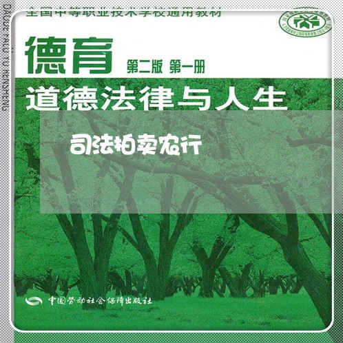 司法拍卖农行