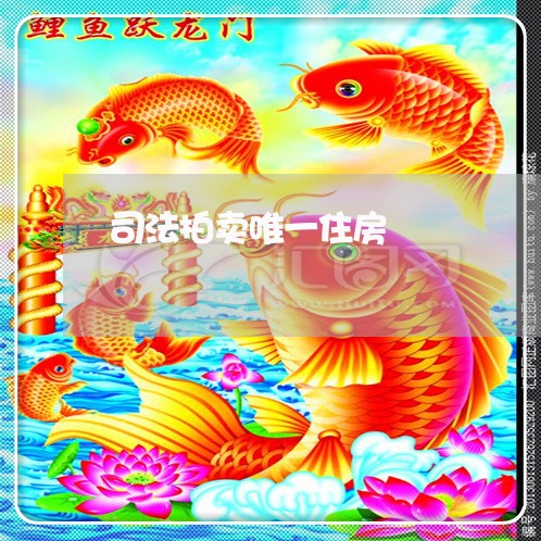 司法拍卖唯一住房 司法拍卖唯一住房