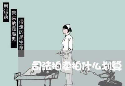 司法拍卖拍什么划算 司法拍卖拍什么划算