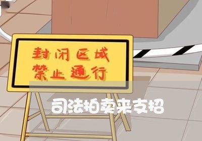司法拍卖来支招