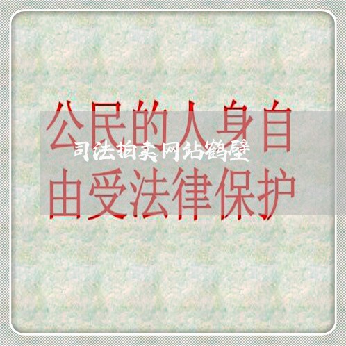司法拍卖网站鹤壁