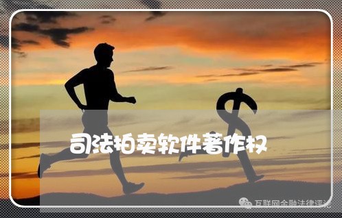 司法拍卖软件著作权