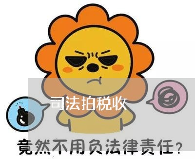 司法拍税收