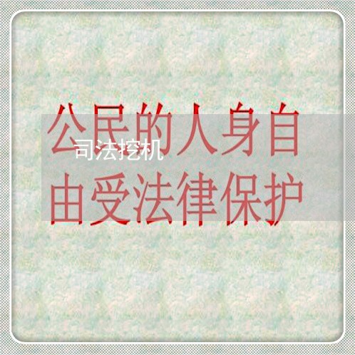 司法挖机 司法挖机
