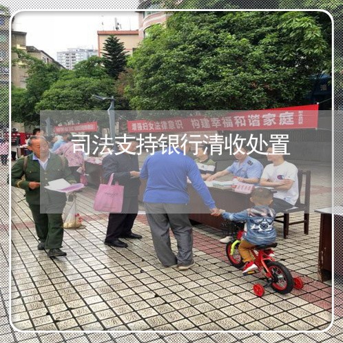 司法支持银行清收处置 司法支持银行清收处置