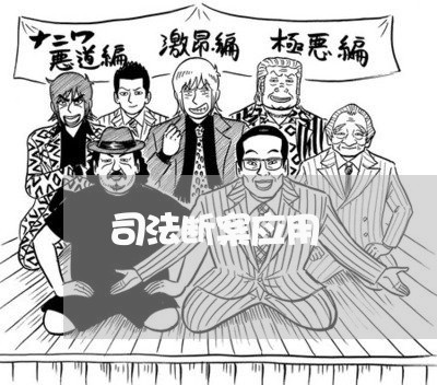 司法断案应用 司法断案应用