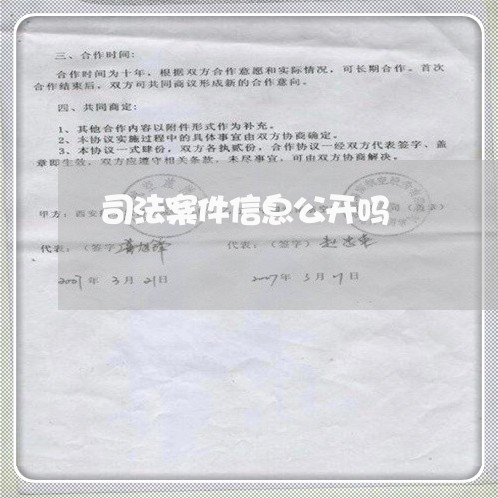 司法案件信息公开吗