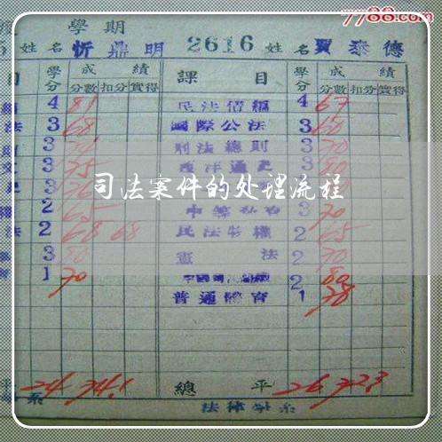 司法案件的处理流程
