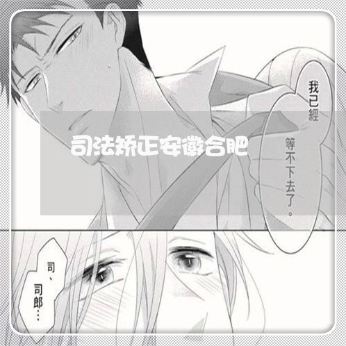 司法矫正安徽合肥