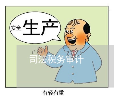 司法税务审计