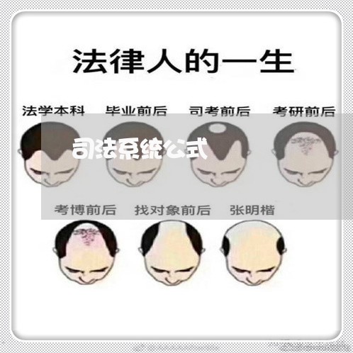 司法系统公式