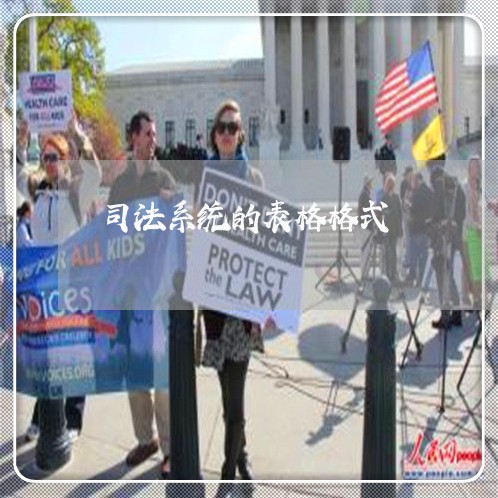 司法系统的表格格式
