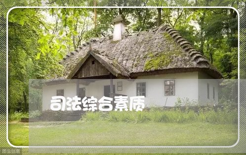 司法综合素质