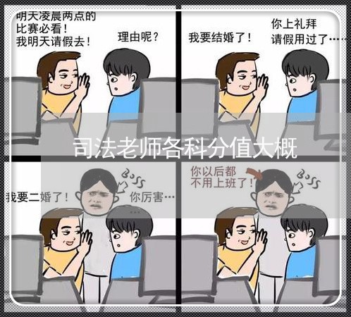 司法老师各科分值大概