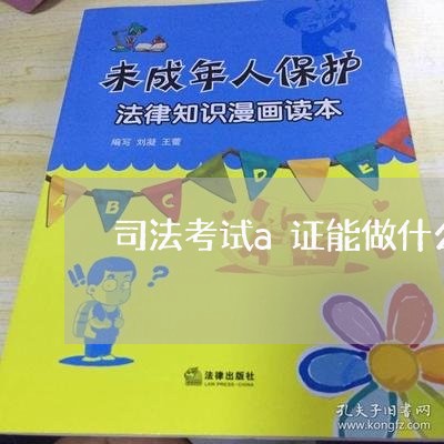 司法考试a证能做什么