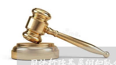 司法行政基层组织队伍建设