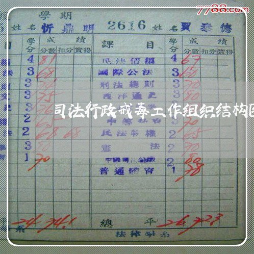 司法行政戒毒工作组织结构图 司法行政戒毒工作组织结构图