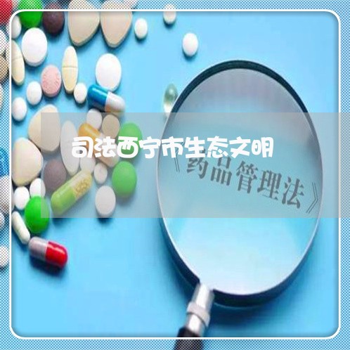 司法西宁市生态文明 司法西宁市生态文明