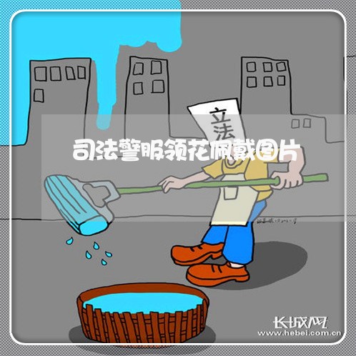 司法警服领花佩戴图片 司法警服领花佩戴图片