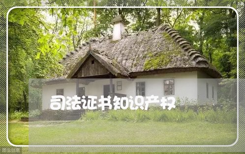 司法证书知识产权 司法证书知识产权