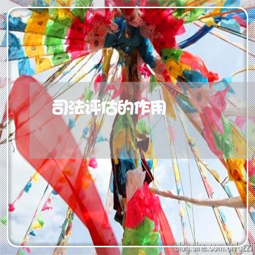 司法评估的作用