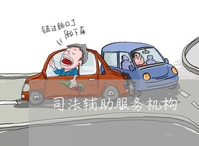 司法辅助服务机构