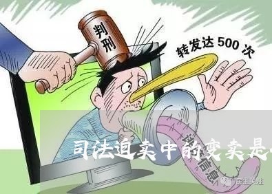 司法迫卖中的变卖是什么程序