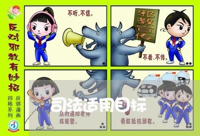 司法适用目标 司法适用目标