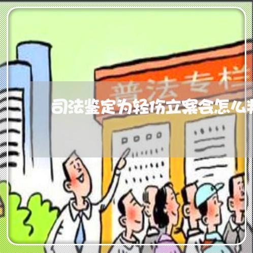 司法鉴定为轻伤立案会怎么判