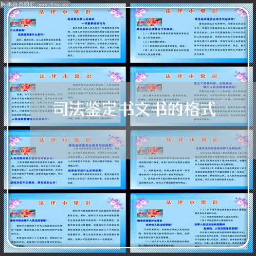司法鉴定书文书的格式 司法鉴定书文书的格式