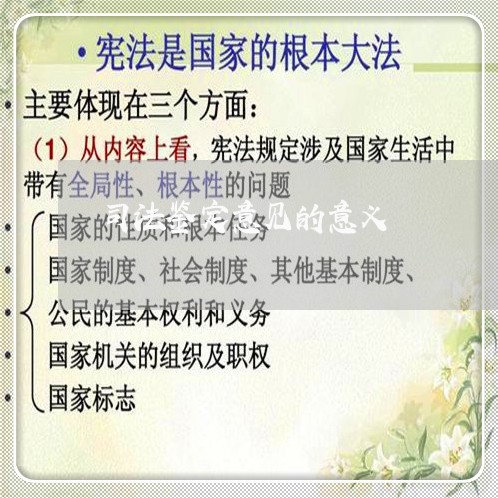 司法鉴定意见的意义