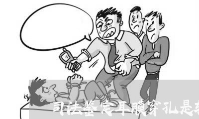 司法鉴定耳膜穿孔是轻伤吗 司法鉴定耳膜穿孔是轻伤吗
