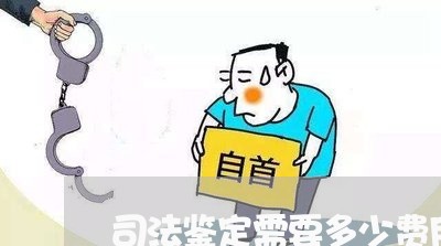 司法鉴定需要多少费用 司法鉴定需要多少费用