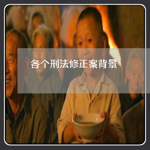 各个刑法修正案背景 各个刑法修正案背景