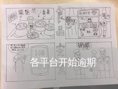 各平台开始逾期 各平台开始逾期