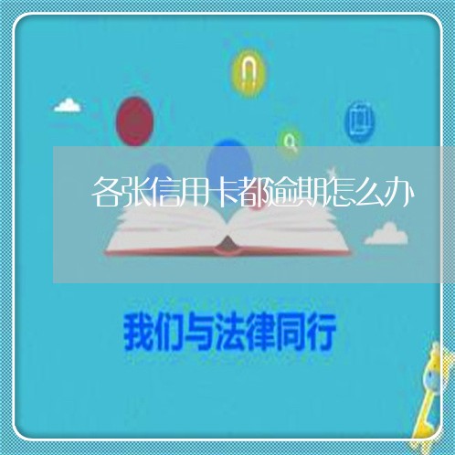 各张信用卡都逾期怎么办/2023040228394