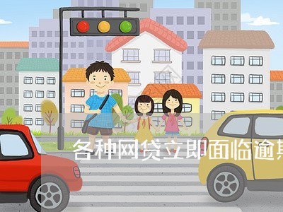 各种网贷立即面临逾期怎么办
