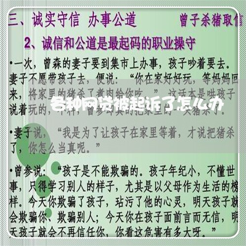 各种网贷被起诉了怎么办/2023120651704