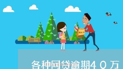 各种网贷逾期40万/2023073150472