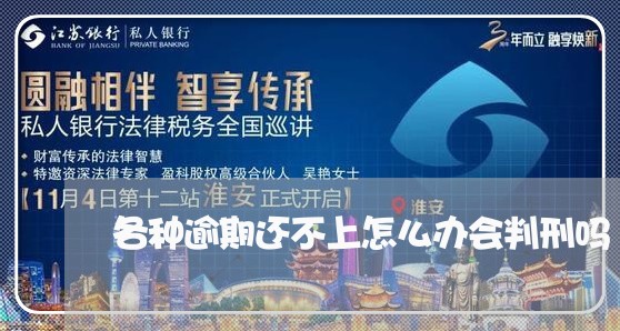 各种逾期还不上怎么办会判刑吗