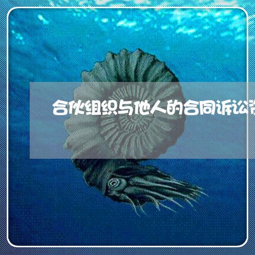 合伙组织与他人的合同诉讼资格