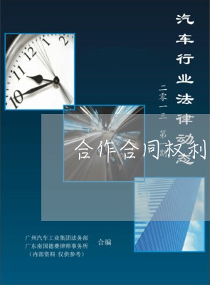 合作合同权利义务怎么写/2023022795949