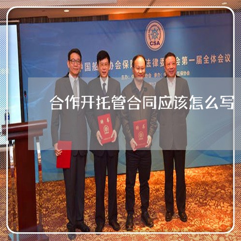 合作开托管合同应该怎么写/2023022680636 合作开托管合同应该怎么写/2023022680636