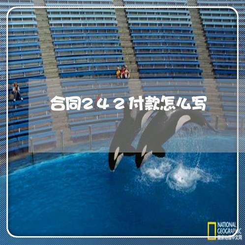 合同242付款怎么写/2023060558160