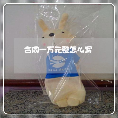 合同一万元整怎么写/2023041472725