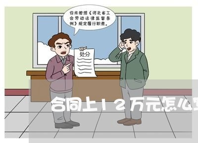 合同上12万元怎么写/2023041338571 合同上12万元怎么写/2023041338571