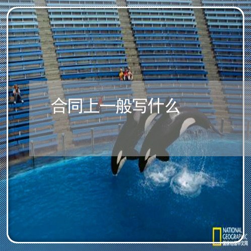 合同上一般写什么/2023022620706