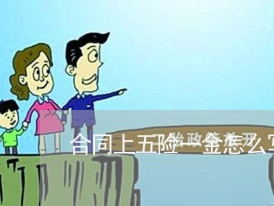 合同上五险一金怎么写/2023041583904 合同上五险一金怎么写/2023041583904