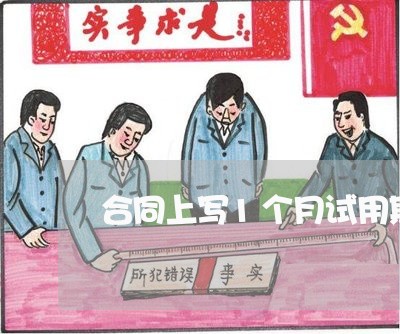 合同上写1个月试用期/2023060638040